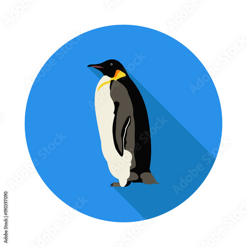 flat icon penguin