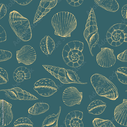 Seamless pattern of seashells. Sea life. Hand drawn vector illustration. Marine background. Perfect for invitations, greeting cards, posters, prints, banners, flyers