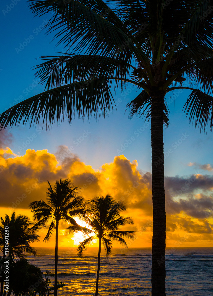 Gorgeous tropical sunrise on a beach in Kapaa, Kauai in the Hawaiian islands