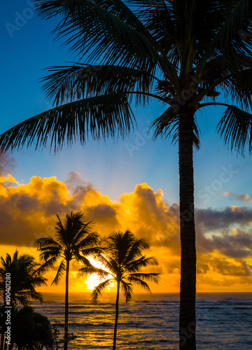 Gorgeous tropical sunrise on a beach in Kapaa  Kauai in the Hawaiian islands