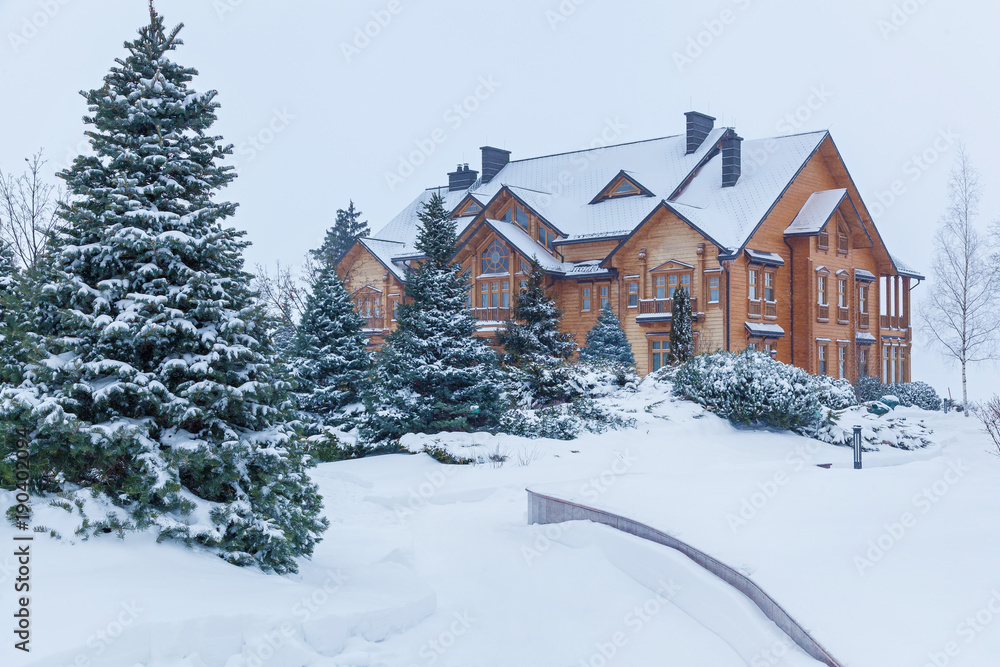 The pine is covered with snow near the house in Mezhyhiria. Pine in the snow near the house. The pine is covered with snow near the house in Mezhyhiria. Pine in the snow near the house.