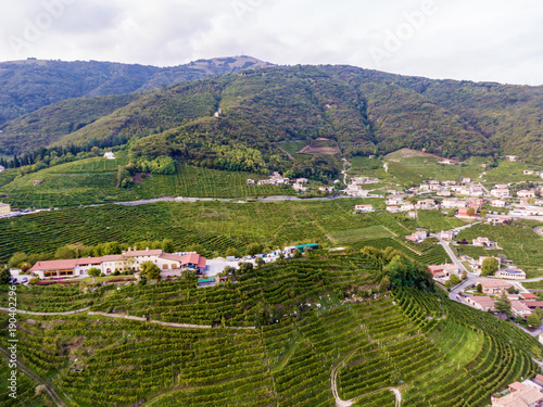 The Italian village from the heights of a bird's flight is seated with grapes. Italian village from above. photo