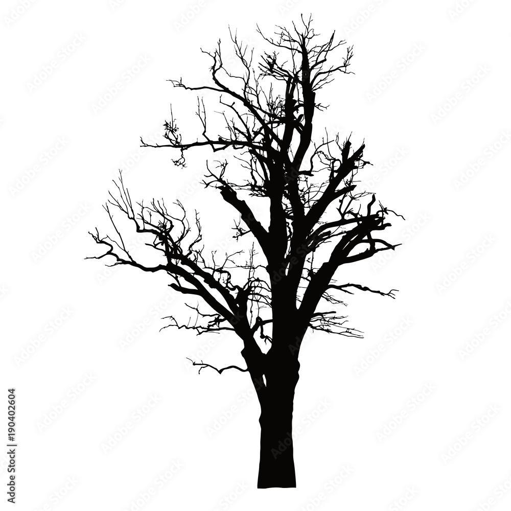 Obraz premium Realistic silhouette of a dead tree with dry branches