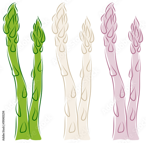 Asparagus Green/White/Purple