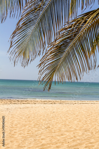 plage de sable fin © ALF photo