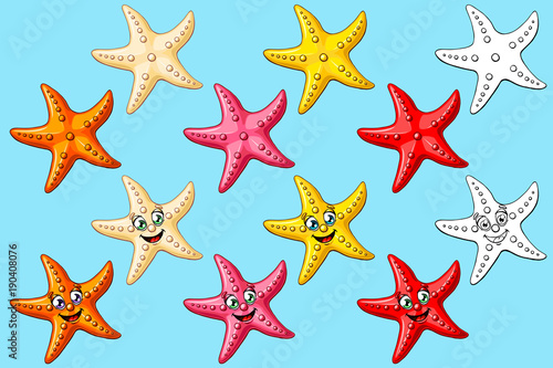 Big set starfish colorful and contour