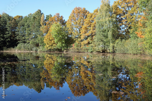 Lake and Forest in Autumn colors