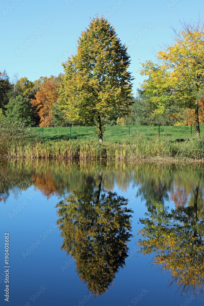 Autumn Scenery - coloured trees reflection at lake Autumn Scenery - coloured trees reflection at lake