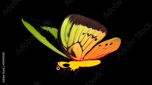 glowing butterfly, 3d, Alpha channel 