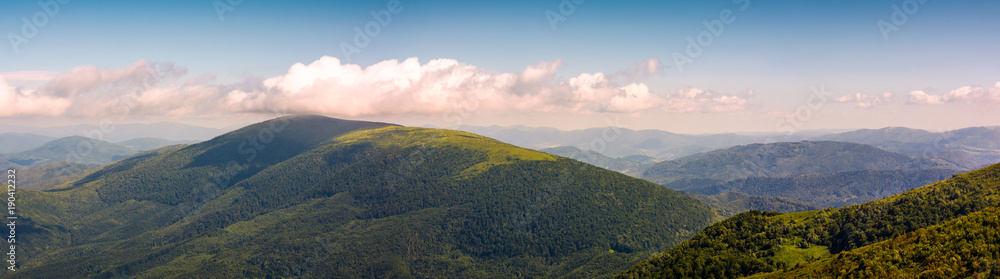 panorama of beautiful Carpathian mountains. lovely forenoon summer landscape viewed from top of a hill.