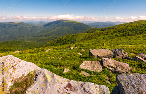 Carpathian alps with huge boulders on hillsides. beautiful summer landscape in fine weather. Location Polonina Runa, Ukraine