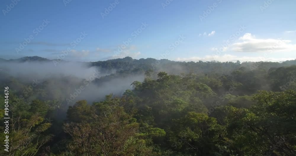 Aerial, Rainforest In Reserva Forestal Golfo Dulce, Costa Rica Aerial, Rainforest In Reserva Forestal Golfo Dulce, Costa Rica