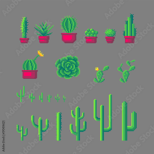Pixel art cactus set.