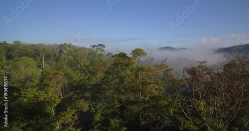 Aerial, Rainforest In Reserva Forestal Golfo Dulce, Costa Rica photo