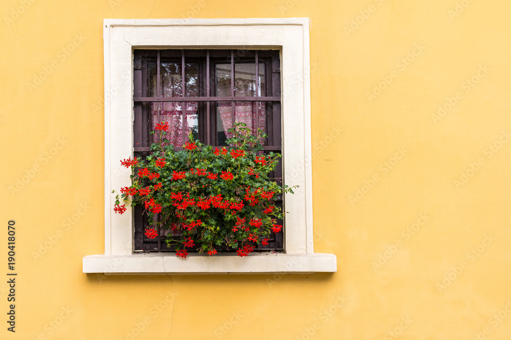 A bright building with pretty flowers in the window. 