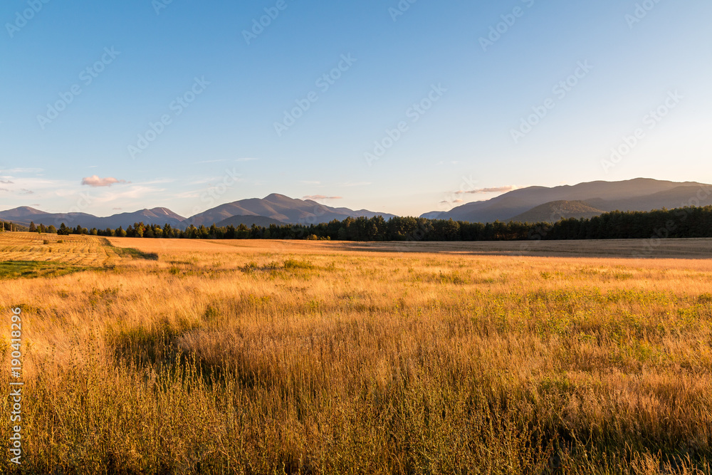 A golden field extends into the Adirondack mountains. 