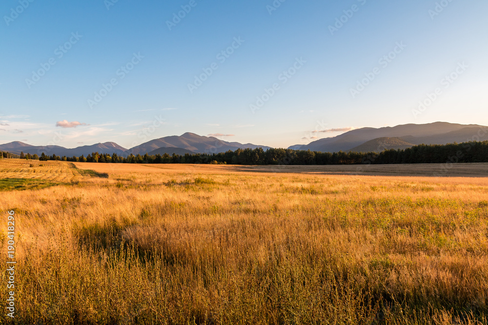 A golden field extends into the Adirondack mountains. A golden field extends into the Adirondack mountains.
