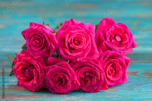 Pink roses on turquoise background