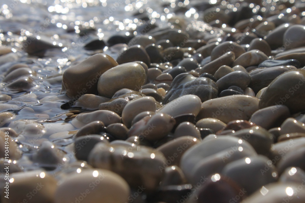 Obraz premium pebbles close up shimmering in the sun with a blurry background
