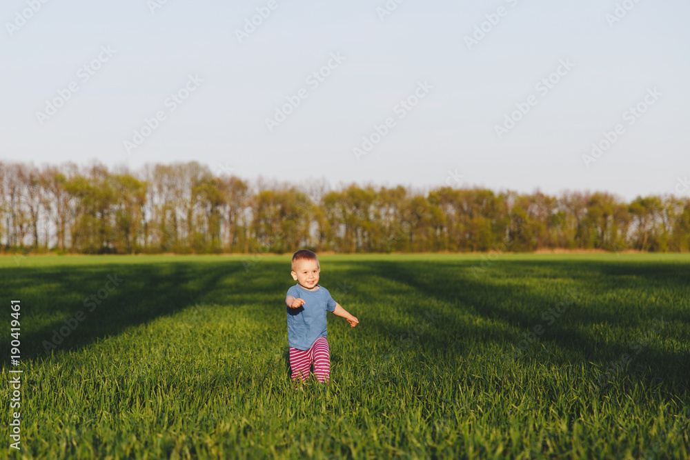 Joyful little cute child baby boy walk on green grass field wheat background, rest, have fun, play, run. Small kid son. Family summer day, 15 of may, love, good mood, parents, children concept.