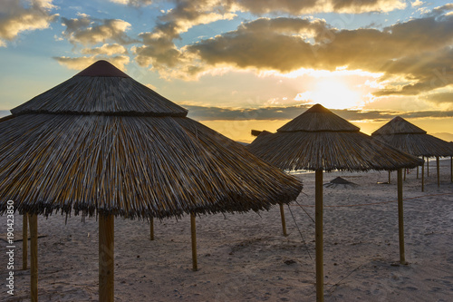 Beach umbrellas