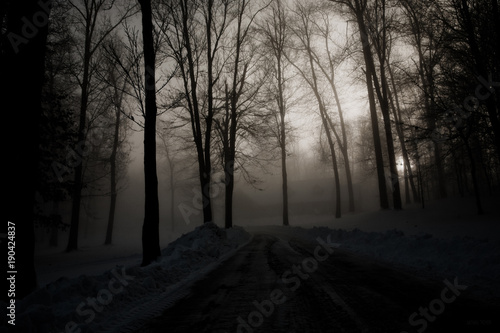 dark road, fog, mist, 