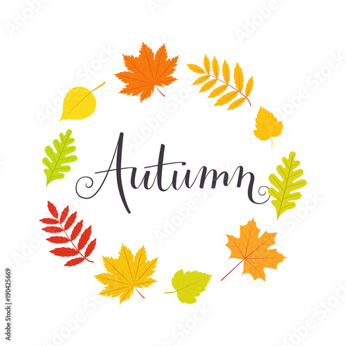 Autumn banner with falling multicolored leaves round. Lettering handwritten. Vector flat style illustration.