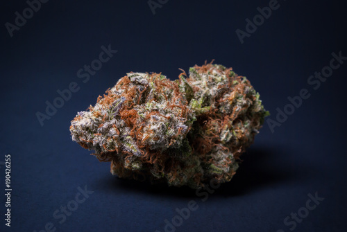 Cannabis Nug - Strain: Blue Widow