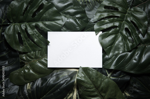 Tropical green leaves composition