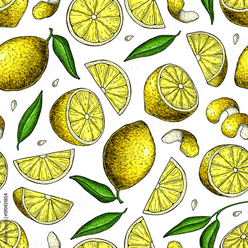 Lemon vector seamless pattern drawing. Summer citrus fruit print