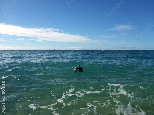 Black Dog Swims in ocean towards the shore © Eric BVD