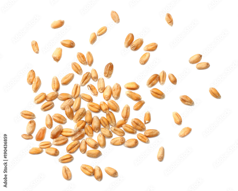 wheat grains isolated on white background. top view - obrazy, fototapety, plakaty 
