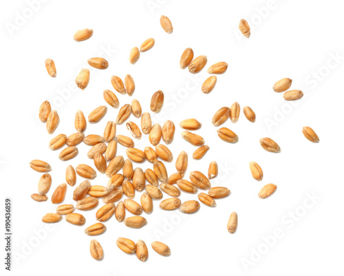 Tableau sur toile wheat grains isolated on white background. top view