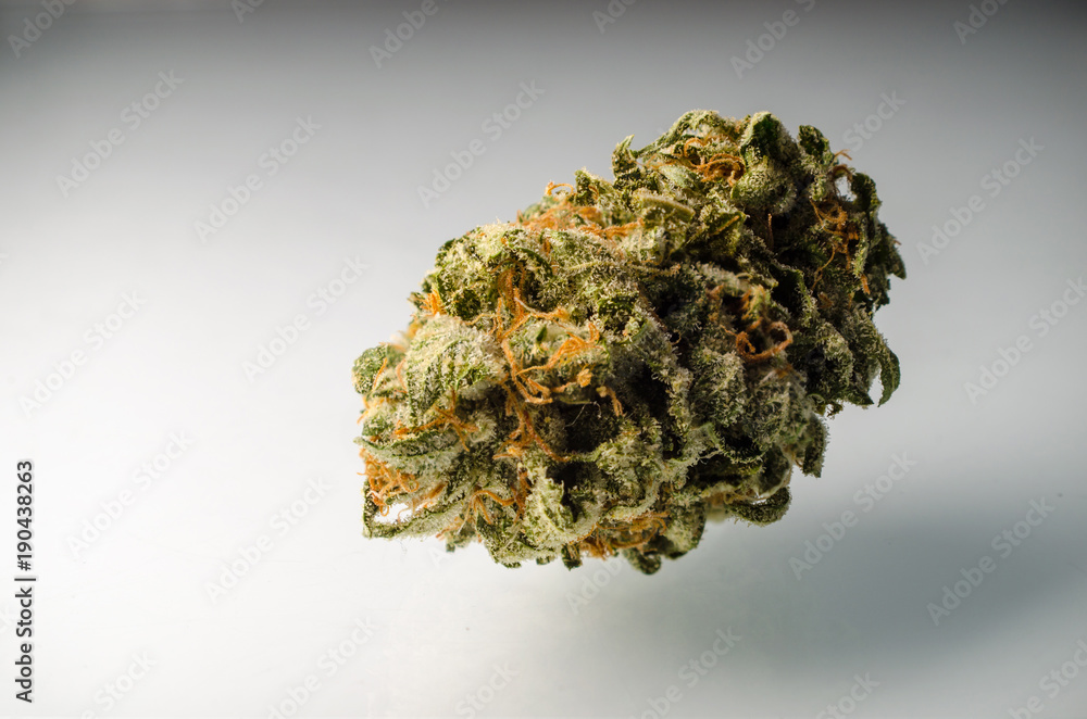 Cannabis Nug - Strain: LA Chocolope