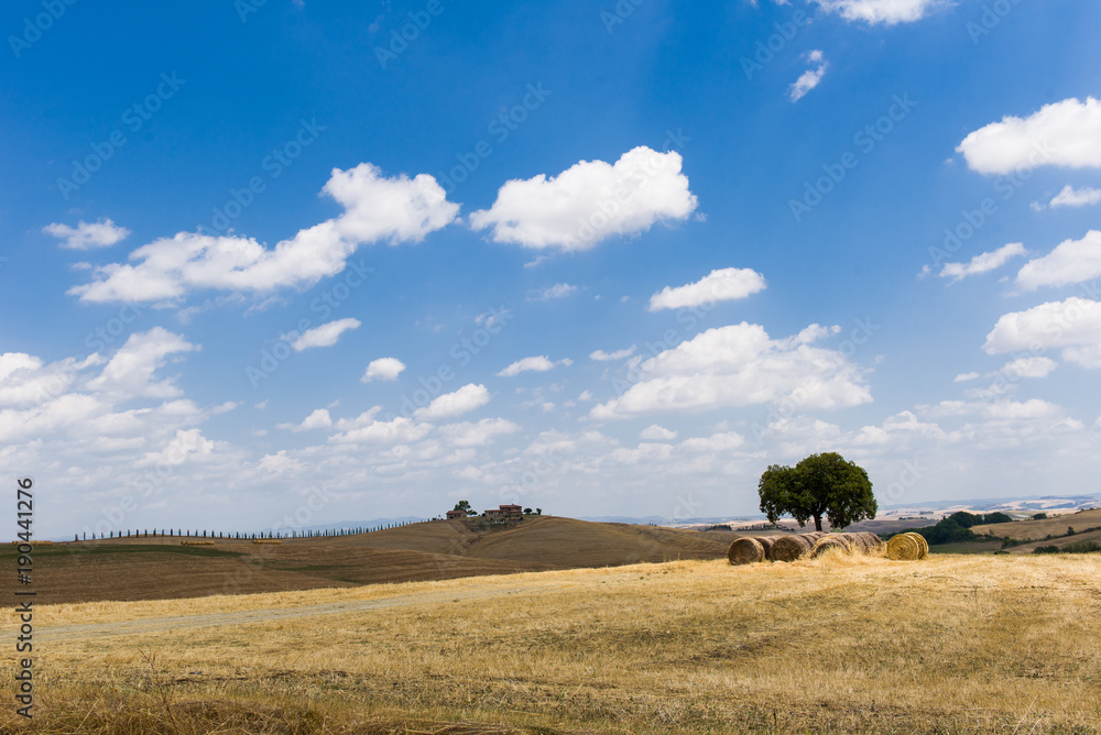 Italian beautiful tuscany landscape with a magical tree in the middle of the field. Fabulous landscape.
