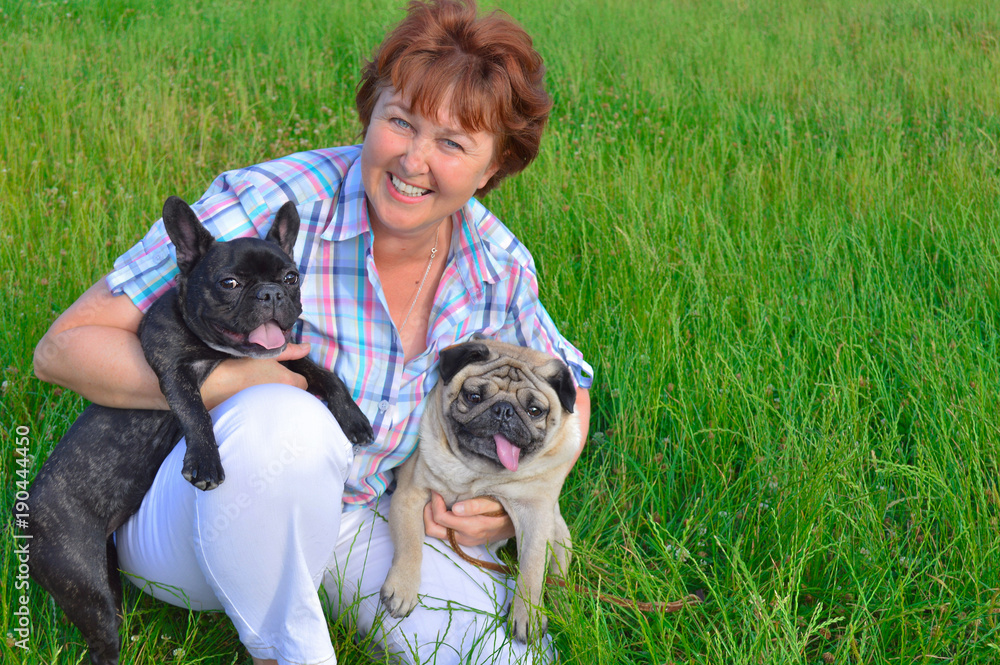 cheerful woman, mom, housewife, hold two pets, room dogs. black, active, inquisitive french bulldog, beige, fawn, thick pug. elderly woman looks to the camera. Happy summer company on grass cheerful woman, mom, housewife, hold two pets, room dogs. black, active, inquisitive french bulldog, beige, fawn, thick pug. elderly woman looks to the camera. Happy summer company on grass