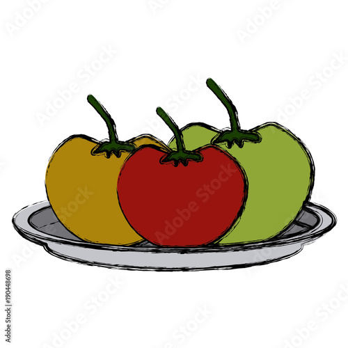 Tomatos vegetables dish icon vector illustration graphic design