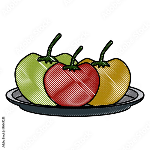 Tomatos vegetables dish icon vector illustration graphic design