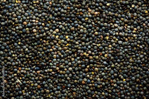 Raw organic marbled green lentils texture. Food ingredient background. Top view