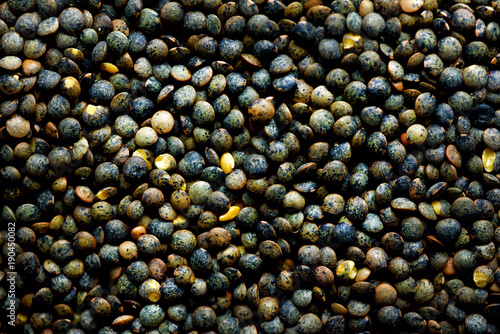 Raw organic marbled green lentils texture. Food ingredient background. Top view