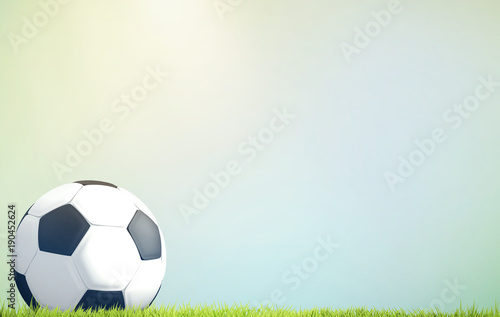 soccer football ball at green grass meadow blades of grass 3d rendering