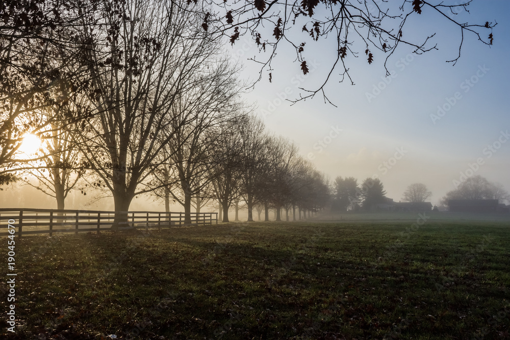 Rural Morning Fog