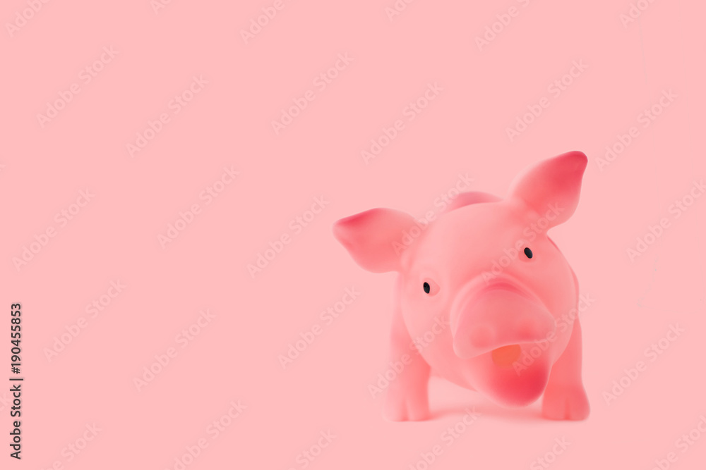 Pink Pig Bank on Pink Background Pink Pig Bank on Pink Background