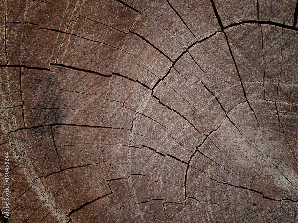 Fototapeta premium Wood texture with natural.