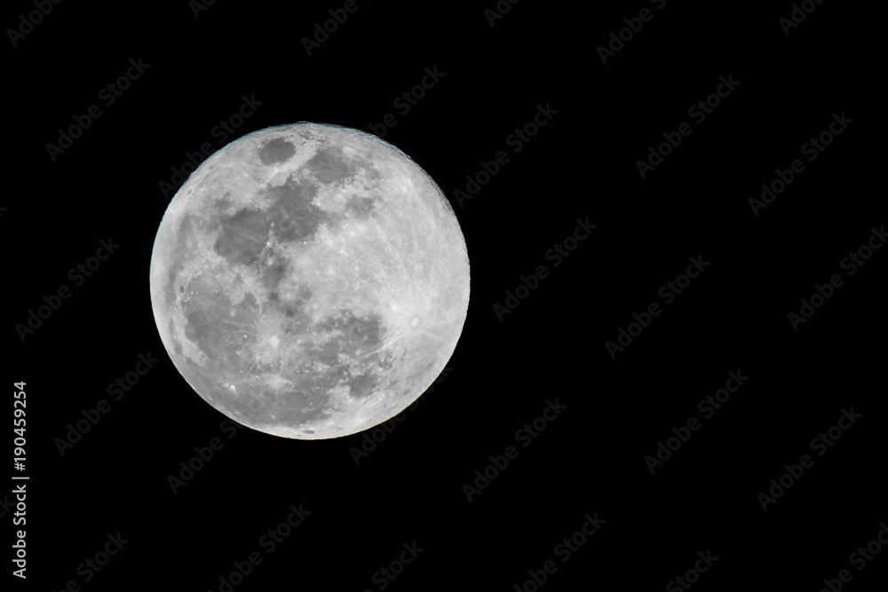 Fototapeta premium Large Moon