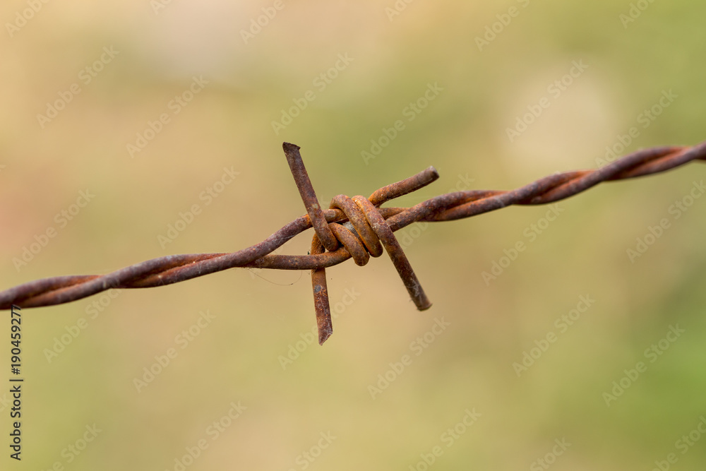 Barbed wire rust macro