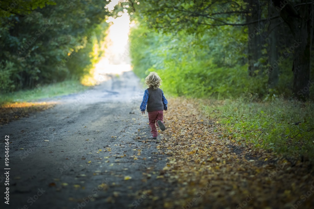 Fototapeta premium Small boy playing in outdoor in autumnal light