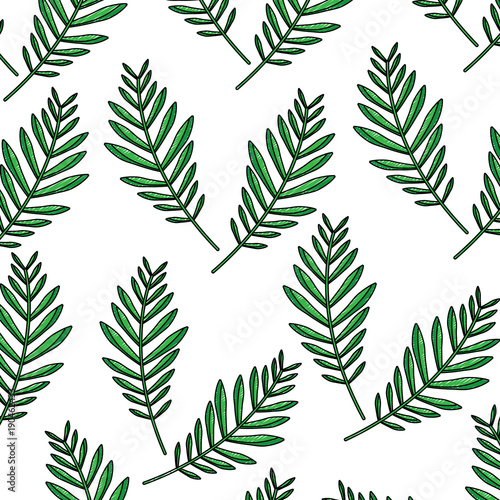plant leaf pattern image vector illustration design 