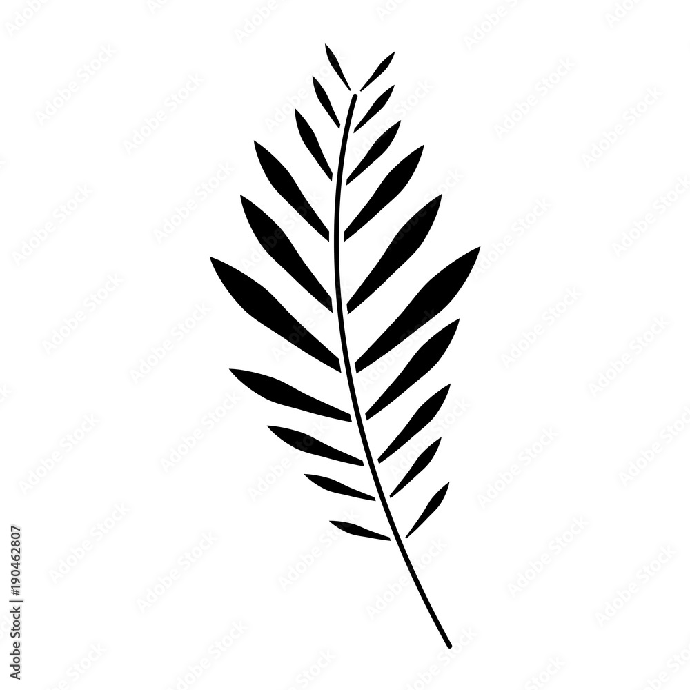 plant leaf icon image vector illustration design black and white plant leaf icon image vector illustration design black and white