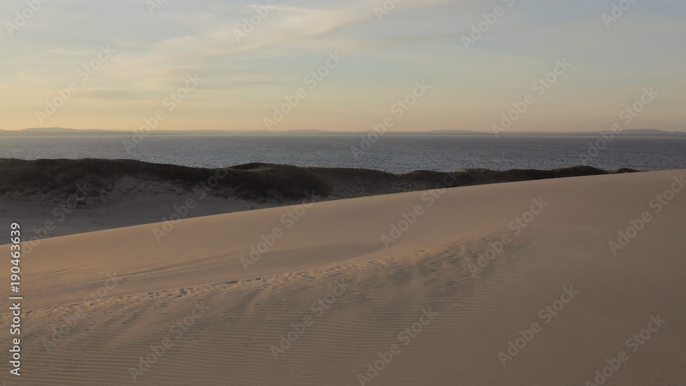 Dune seaside landscape